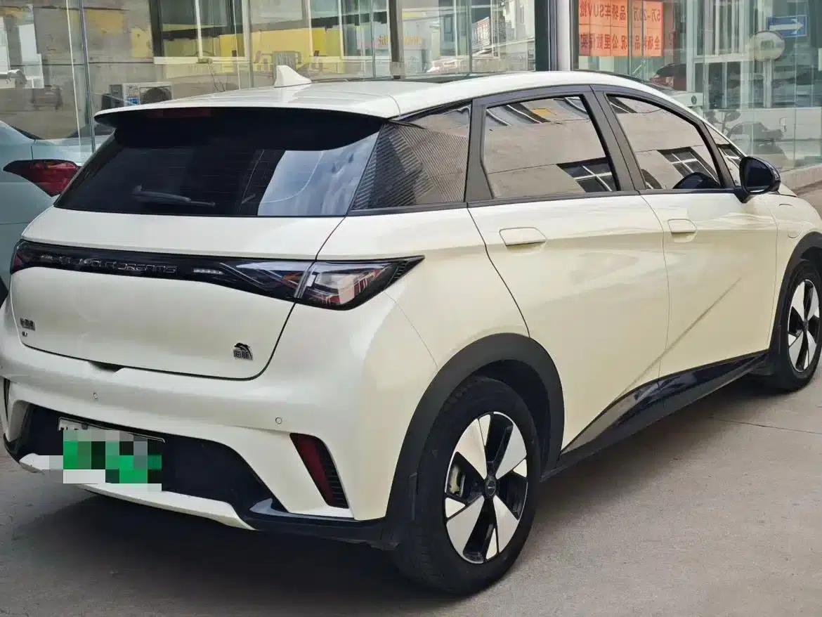 Dolphin 2023 420km Fashion Edition — миниатюра 7
