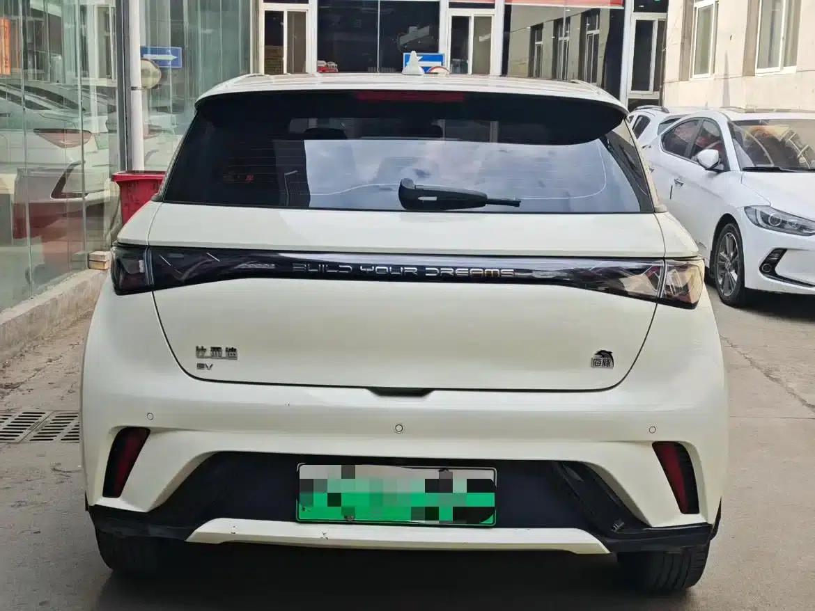 Dolphin 2023 420km Fashion Edition — миниатюра 8