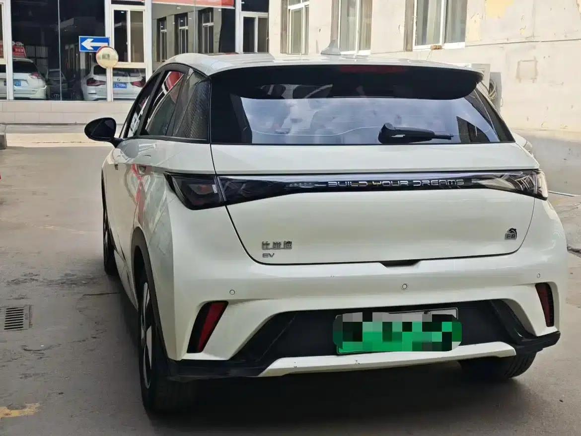 Dolphin 2023 420km Fashion Edition — миниатюра 9