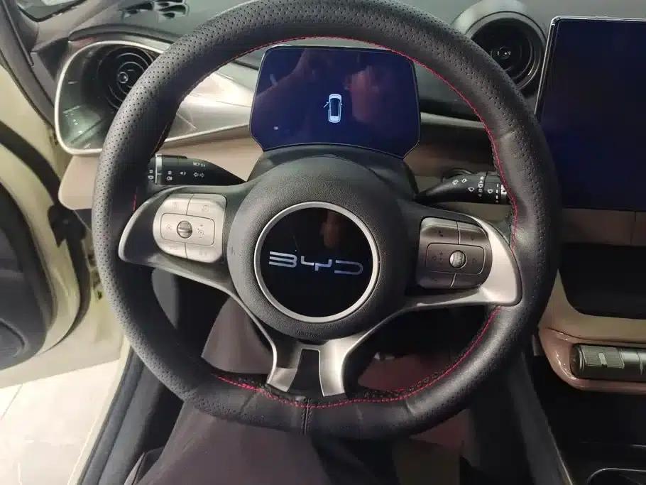 Dolphin 2023 420km Fashion Edition — миниатюра 15