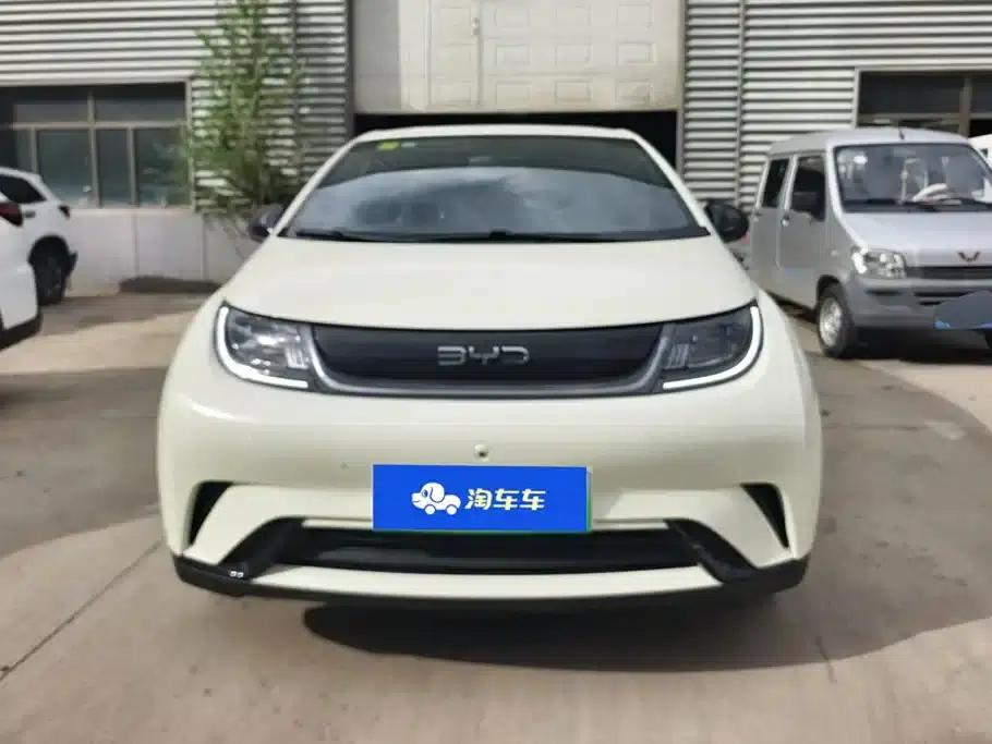 Dolphin 2025 420km Freedom Edition — миниатюра 2
