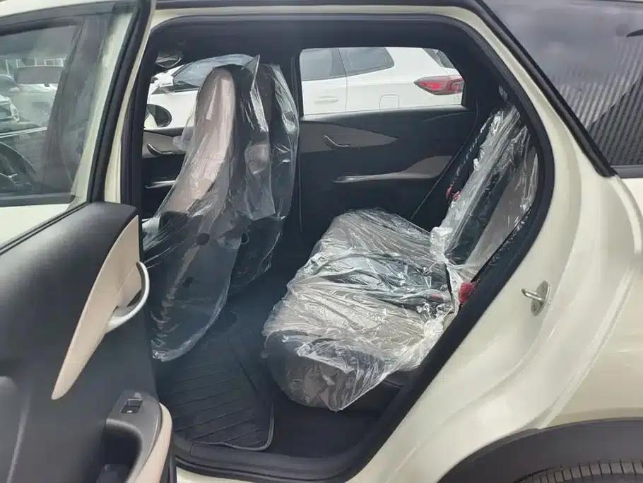 Dolphin 2025 420km Freedom Edition — миниатюра 11
