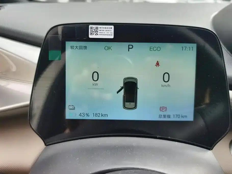 Dolphin 2025 420km Freedom Edition — миниатюра 14
