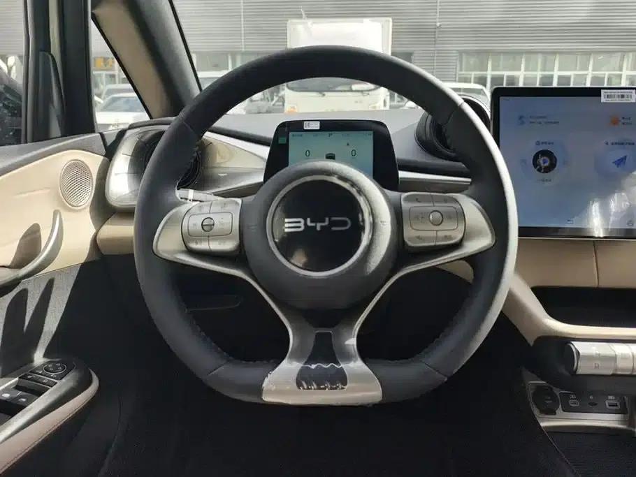 Dolphin 2025 420km Freedom Edition — миниатюра 15