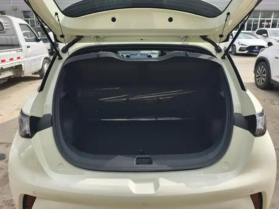 Dolphin 2025 420km Freedom Edition — миниатюра 4