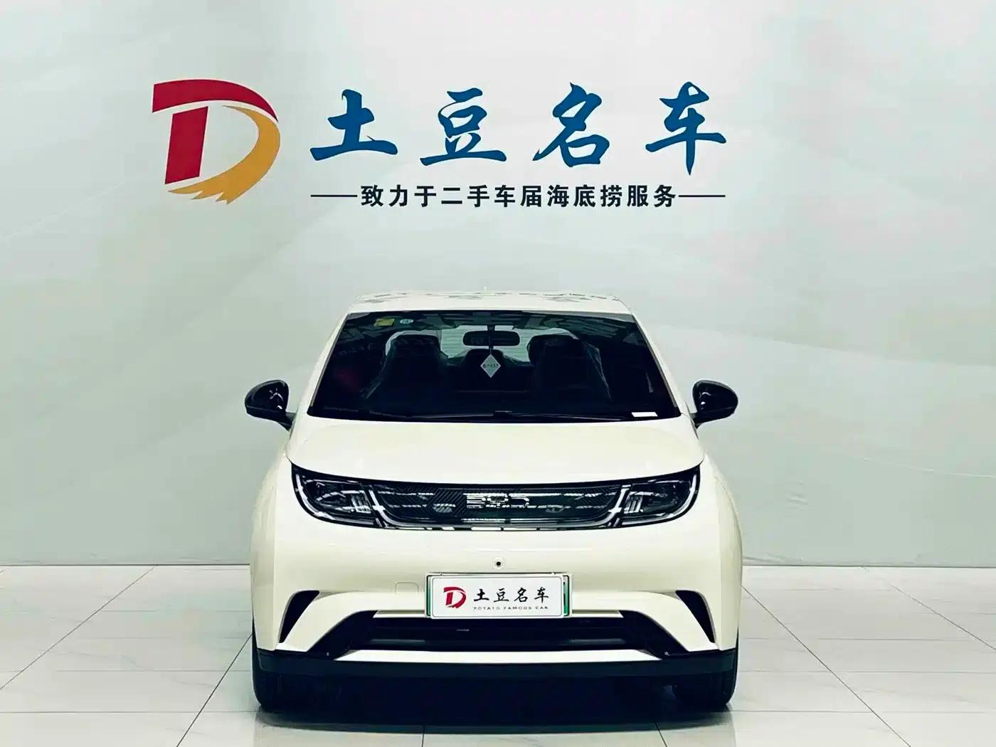 Dolphin 2025 420km Freedom Edition — миниатюра 2