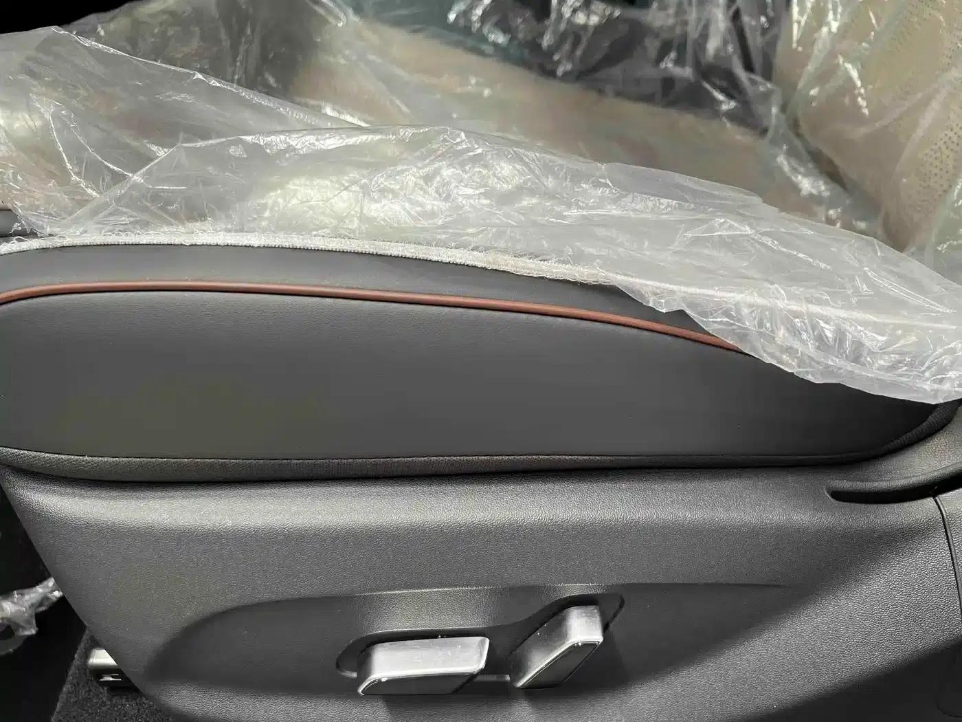 Dolphin 2025 420km Freedom Edition — миниатюра 11