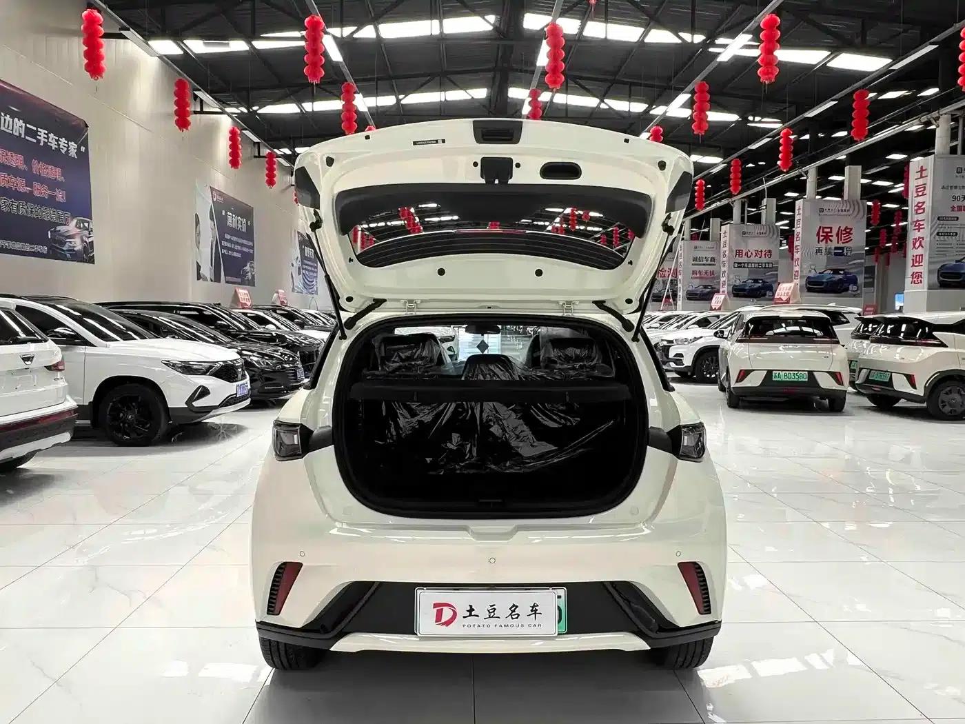 Dolphin 2025 420km Freedom Edition — миниатюра 14