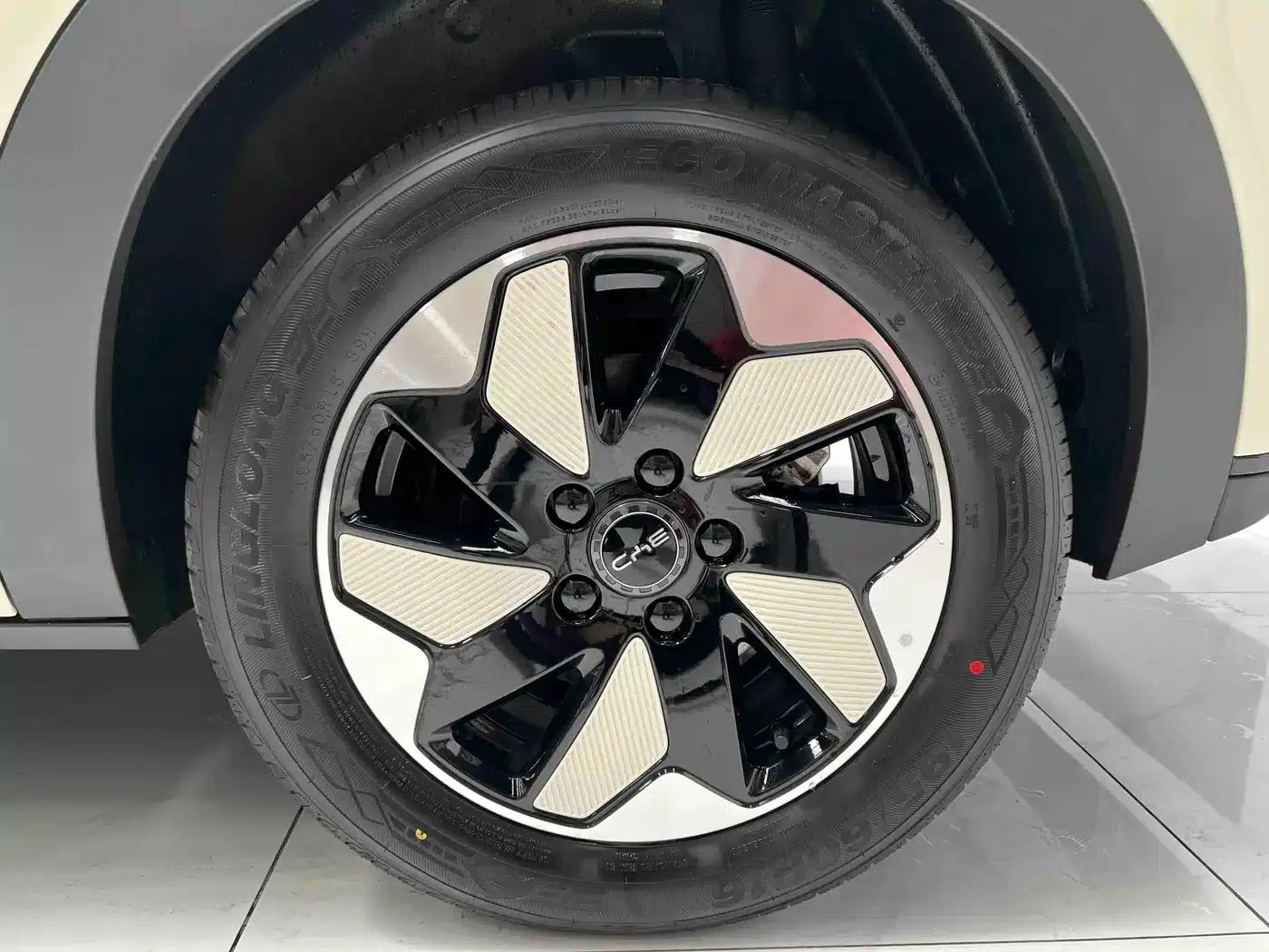 Dolphin 2025 420km Freedom Edition — миниатюра 15