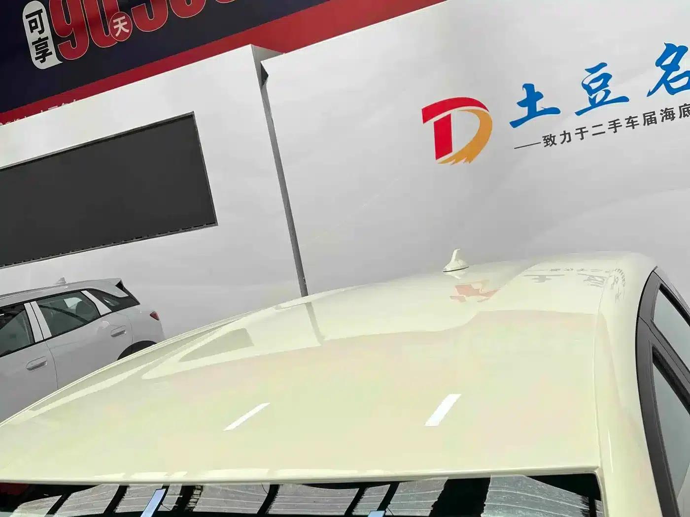 Dolphin 2025 420km Freedom Edition — миниатюра 16