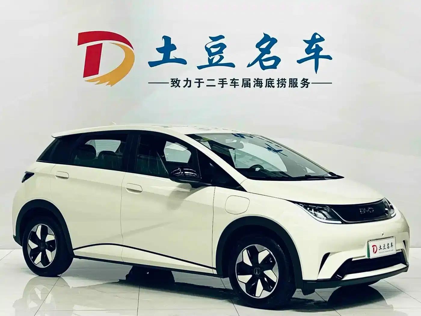 Dolphin 2025 420km Freedom Edition — миниатюра 3
