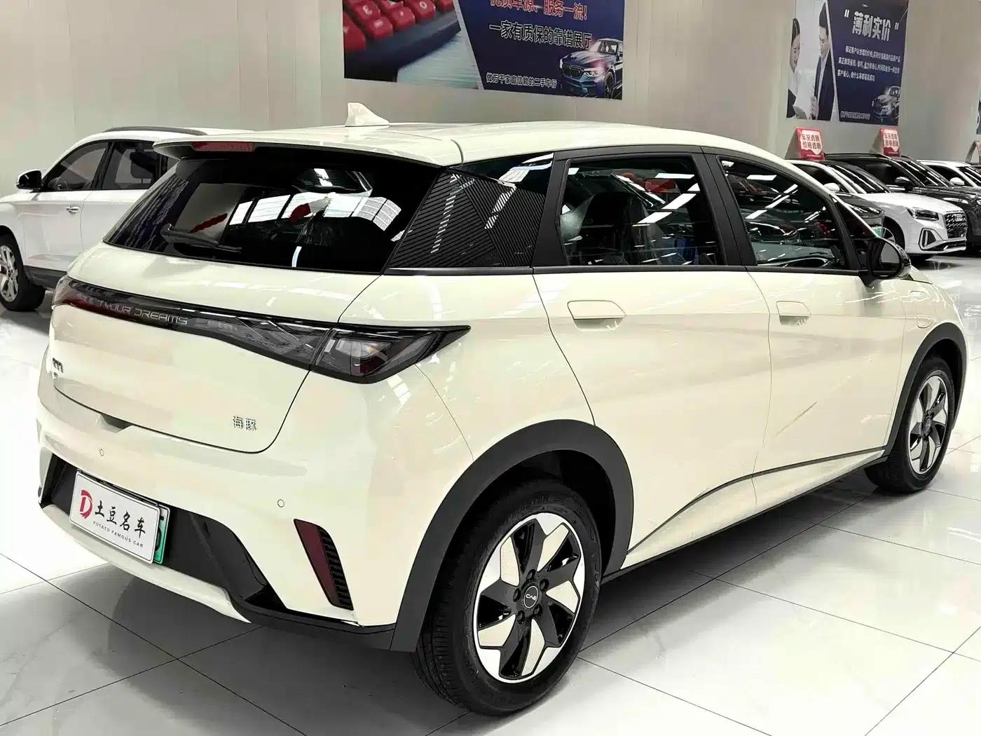 Dolphin 2025 420km Freedom Edition — миниатюра 4