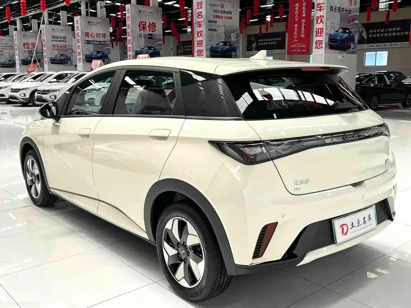 Dolphin 2025 420km Freedom Edition — миниатюра 6