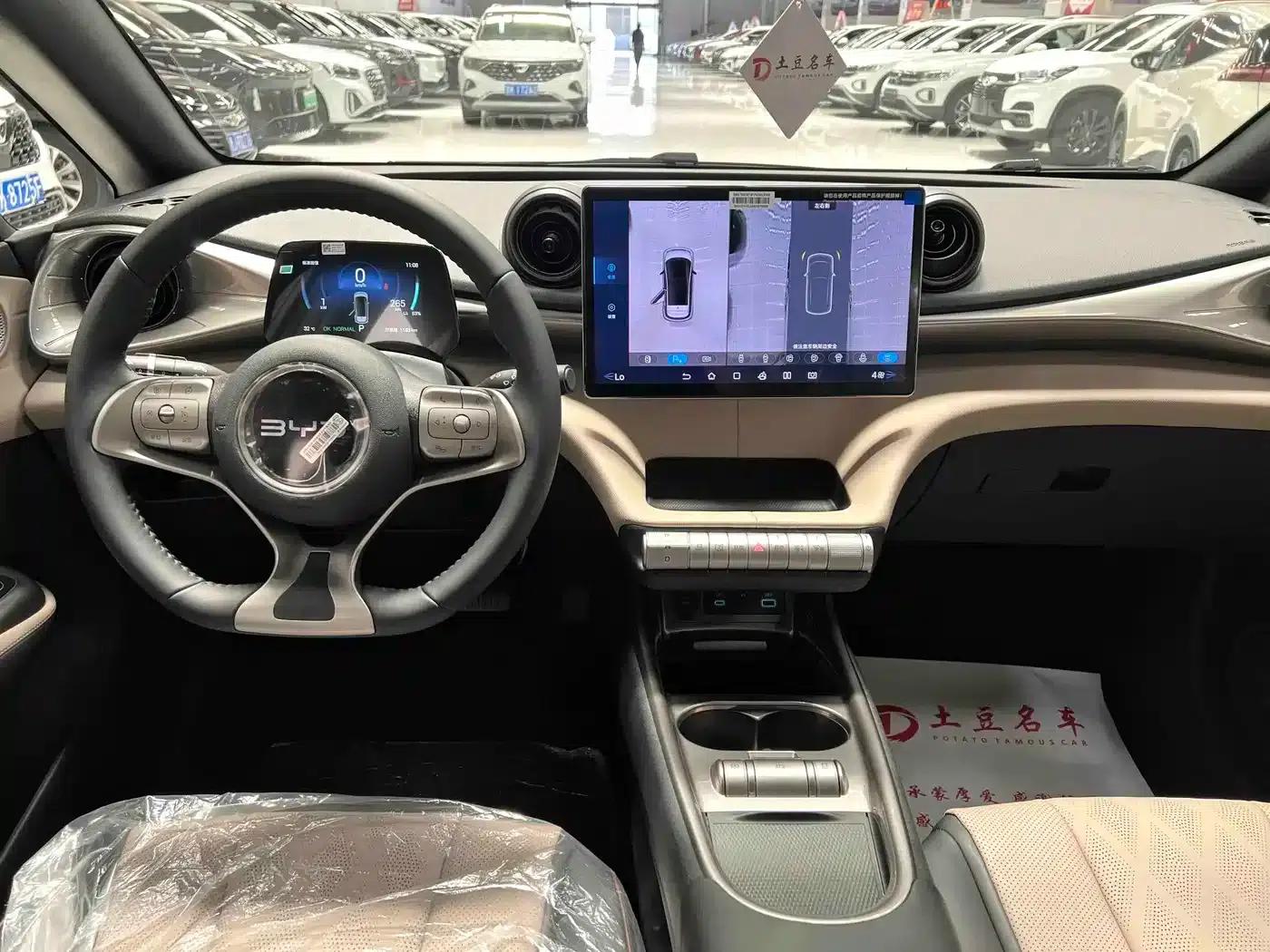 Dolphin 2025 420km Freedom Edition — миниатюра 9