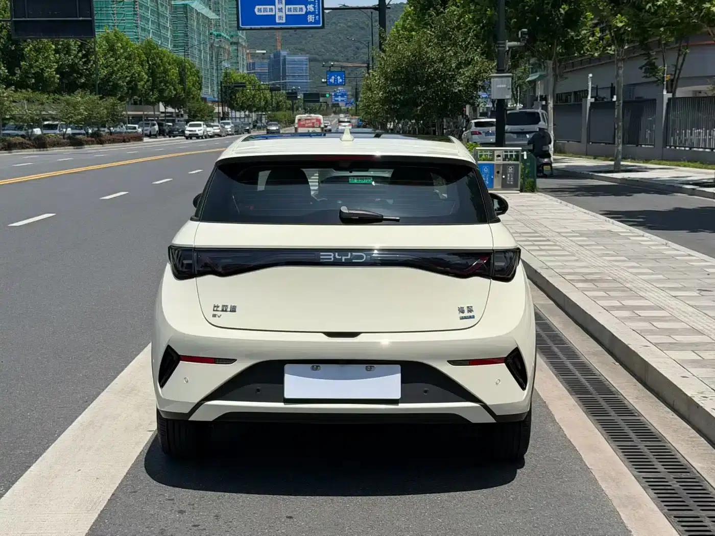 Dolphin 2025 Smart Driving Edition 410km Fashion Edition — миниатюра 4