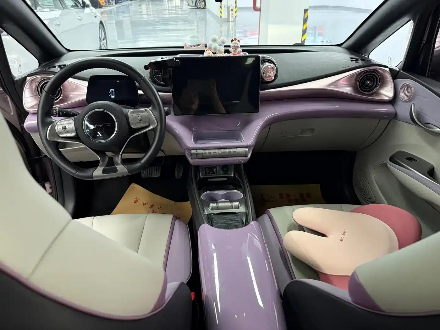 Dolphin 2021 405km Fashion Edition — миниатюра 5