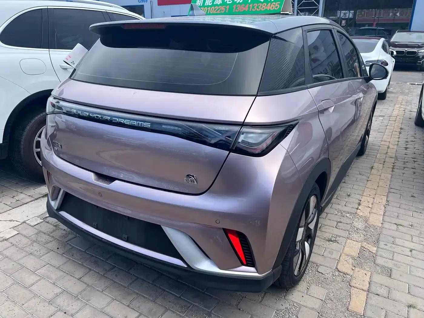 Dolphin 2023 Model 401km/h Knight Edition — миниатюра 4