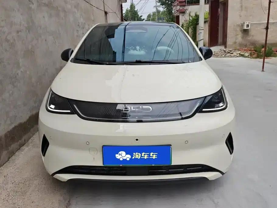 Dolphin 2025 Smart Driving Edition 410km Fashion Edition — миниатюра 2