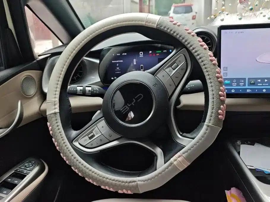 Dolphin 2025 Smart Driving Edition 410km Fashion Edition — миниатюра 15