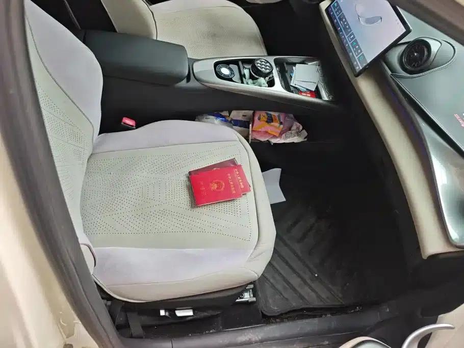 Dolphin 2025 Smart Driving Edition 410km Fashion Edition — миниатюра 8