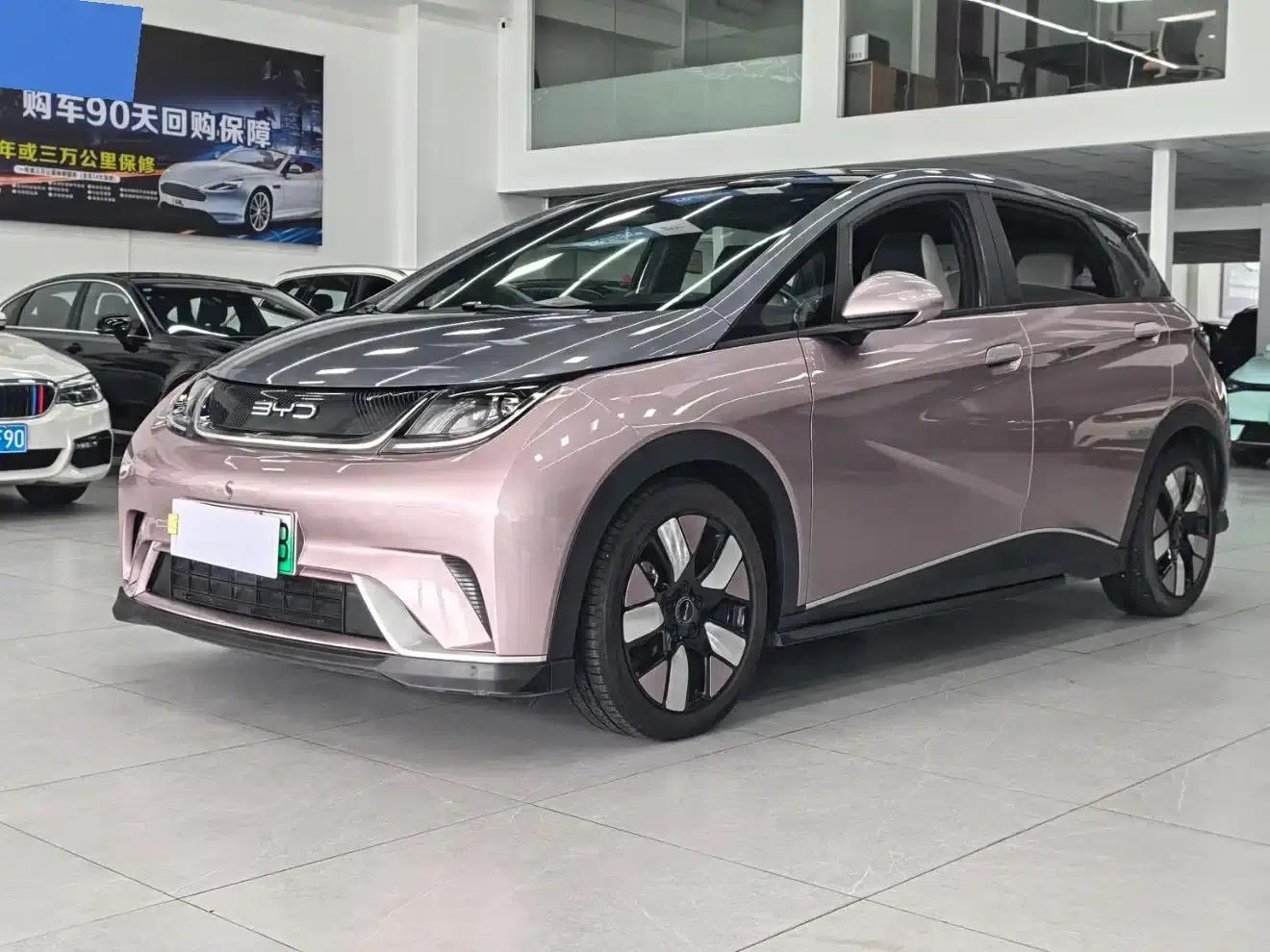 Dolphin 2021 Model 401km/h Knight Edition — миниатюра 1