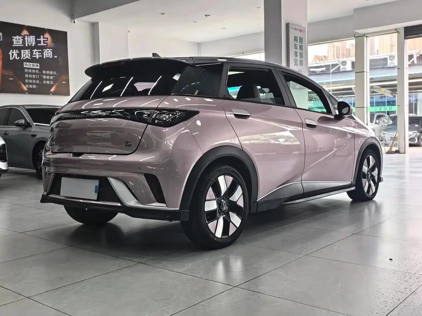 Dolphin 2021 Model 401km/h Knight Edition — миниатюра 11