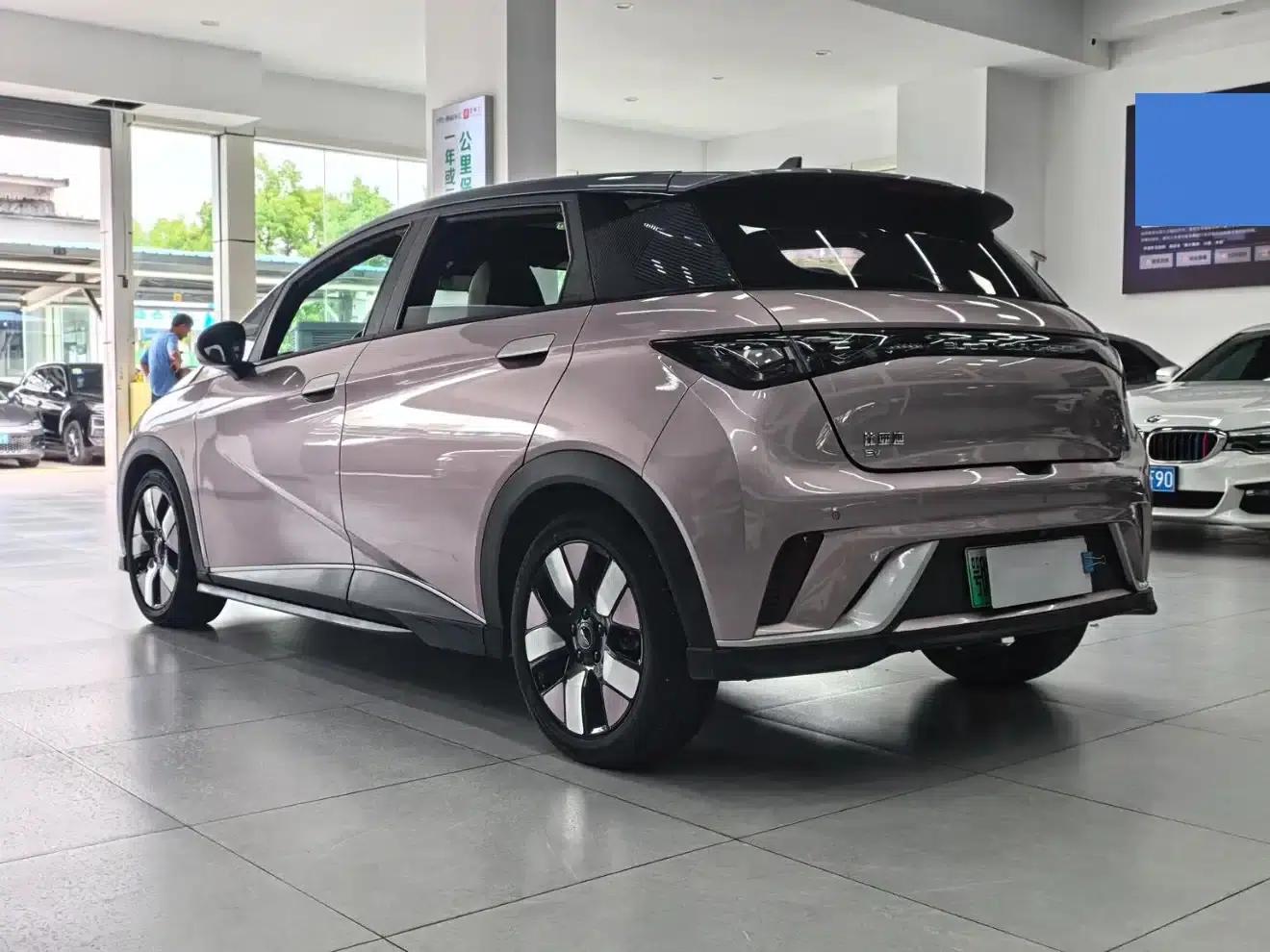 Dolphin 2021 Model 401km/h Knight Edition — миниатюра 13