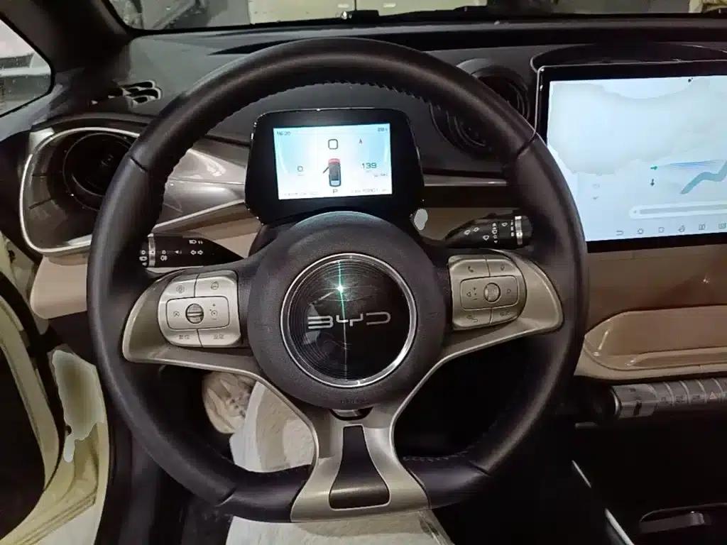 Dolphin 2021 405km Freedom Edition — миниатюра 11