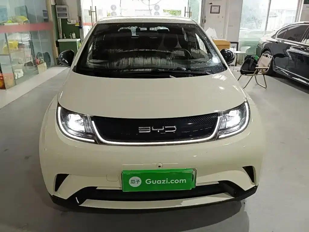 Dolphin 2021 405km Freedom Edition — миниатюра 3