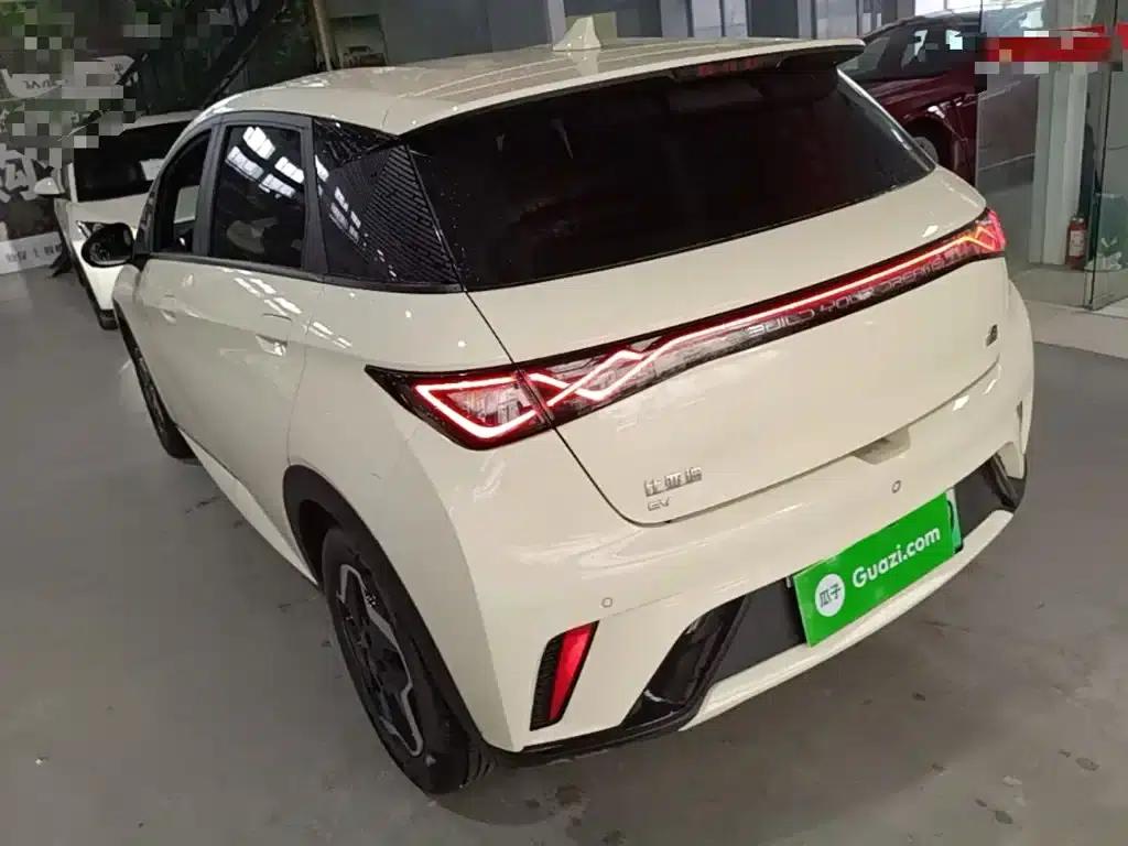 Dolphin 2021 405km Freedom Edition — миниатюра 5