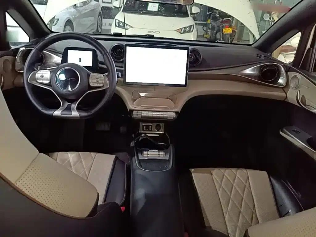 Dolphin 2021 405km Freedom Edition — миниатюра 10