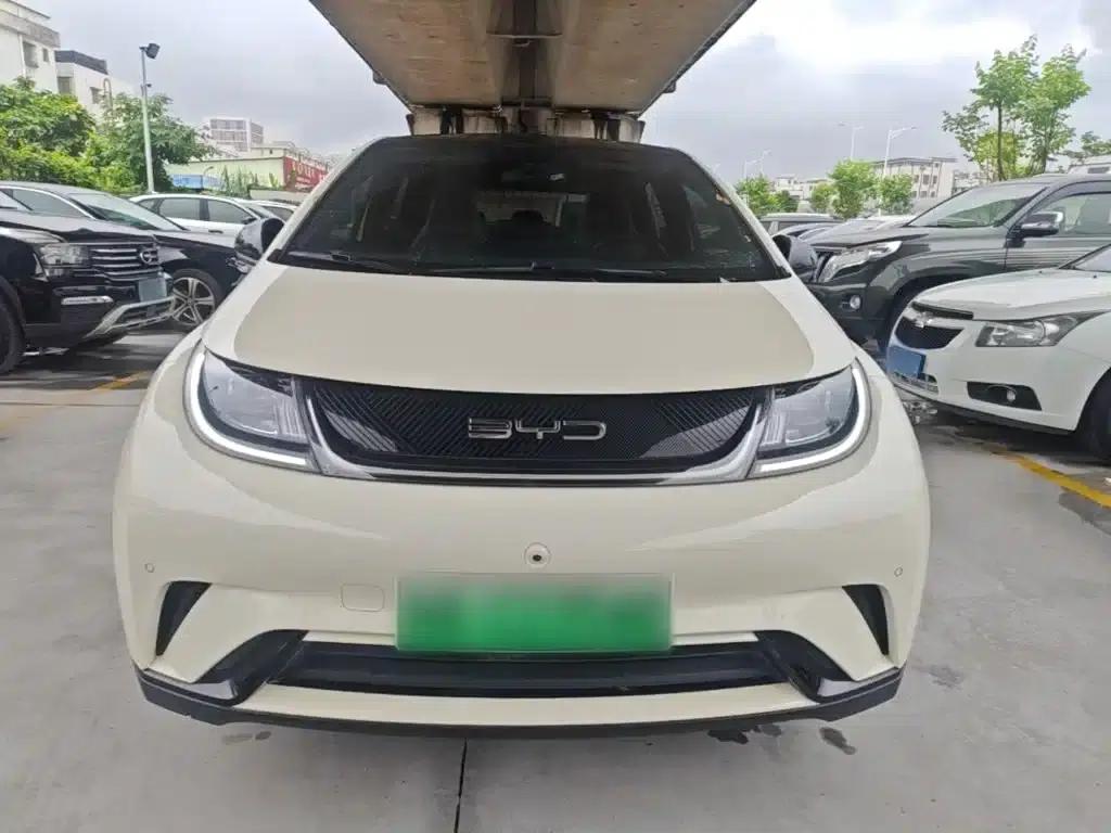 Dolphin 2023 420km Fashion Edition — миниатюра 3