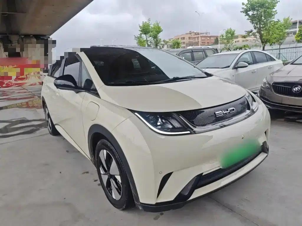 Dolphin 2023 420km Fashion Edition — миниатюра 4