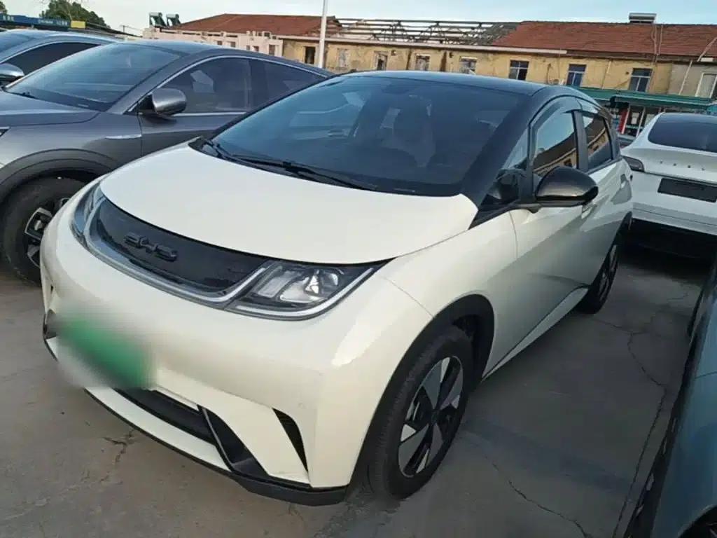 Dolphin 2023 420km Fashion Edition — миниатюра 2