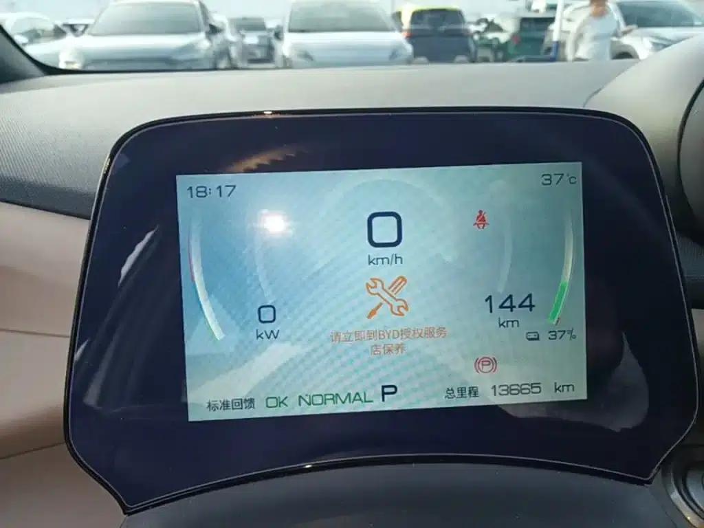 Dolphin 2023 420km Fashion Edition — миниатюра 12