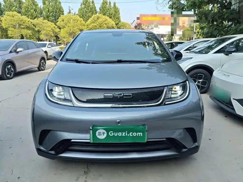 Dolphin 2023 420km Fashion Edition — миниатюра 3
