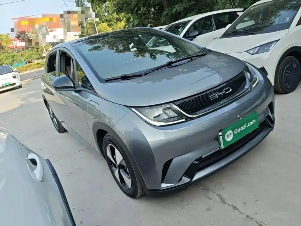 Dolphin 2023 420km Fashion Edition — миниатюра 4