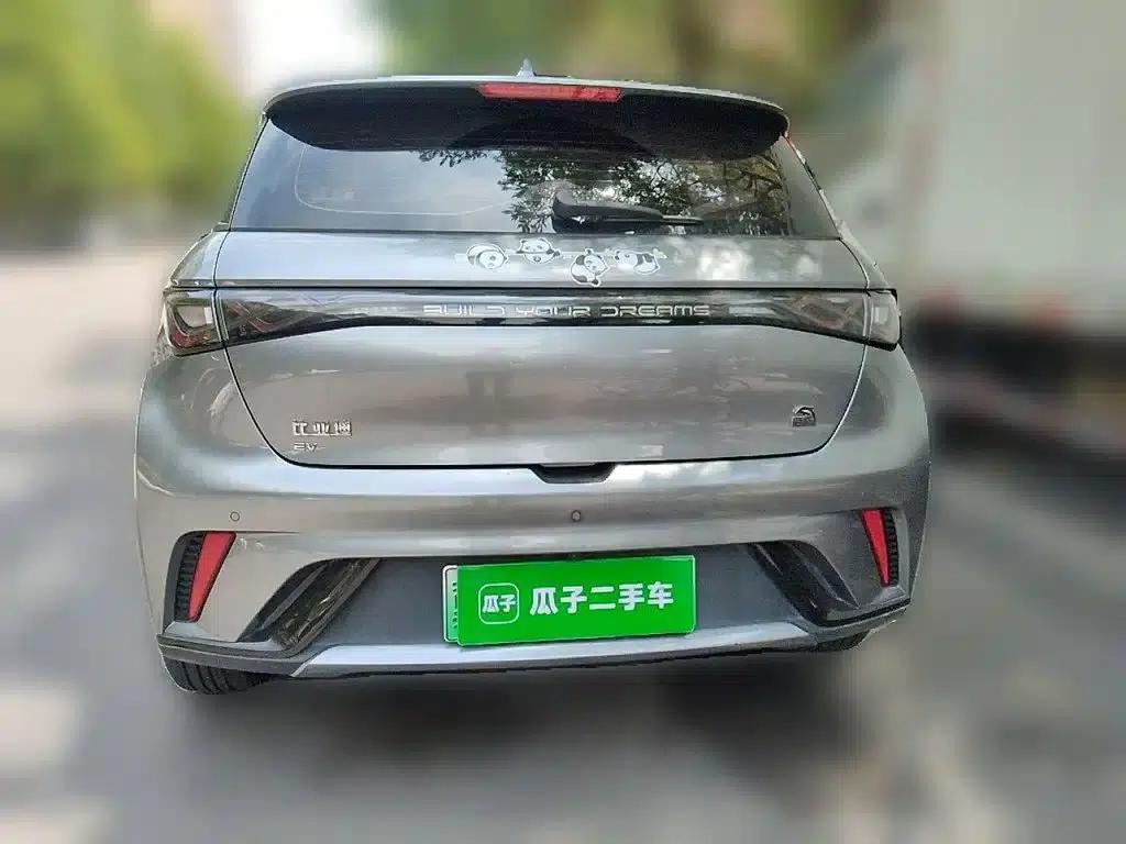 Dolphin 2023 420km Fashion Edition — миниатюра 4
