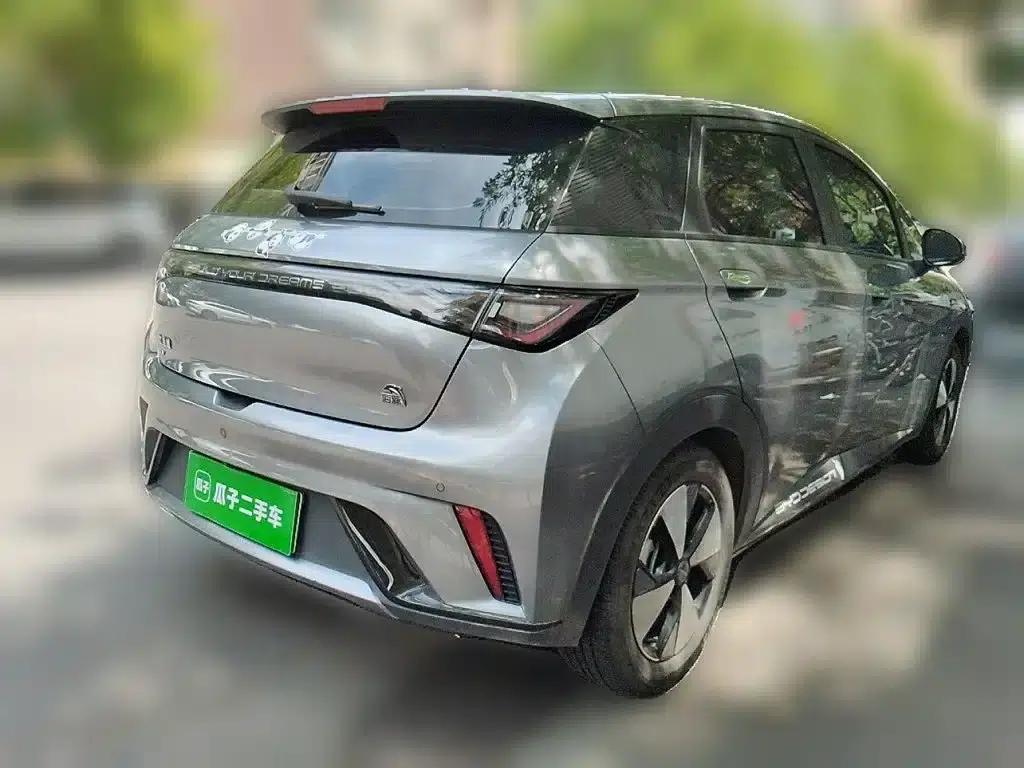 Dolphin 2023 420km Fashion Edition — миниатюра 5