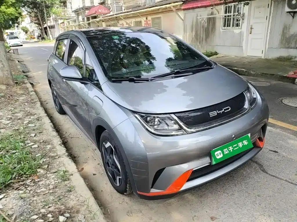Dolphin 2021 405km Fashion Edition — миниатюра 4
