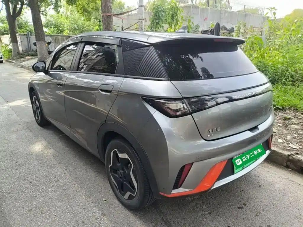 Dolphin 2021 405km Fashion Edition — миниатюра 5