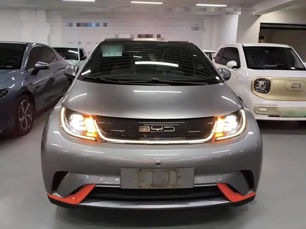Dolphin 2021 405km Fashion Edition — миниатюра 3