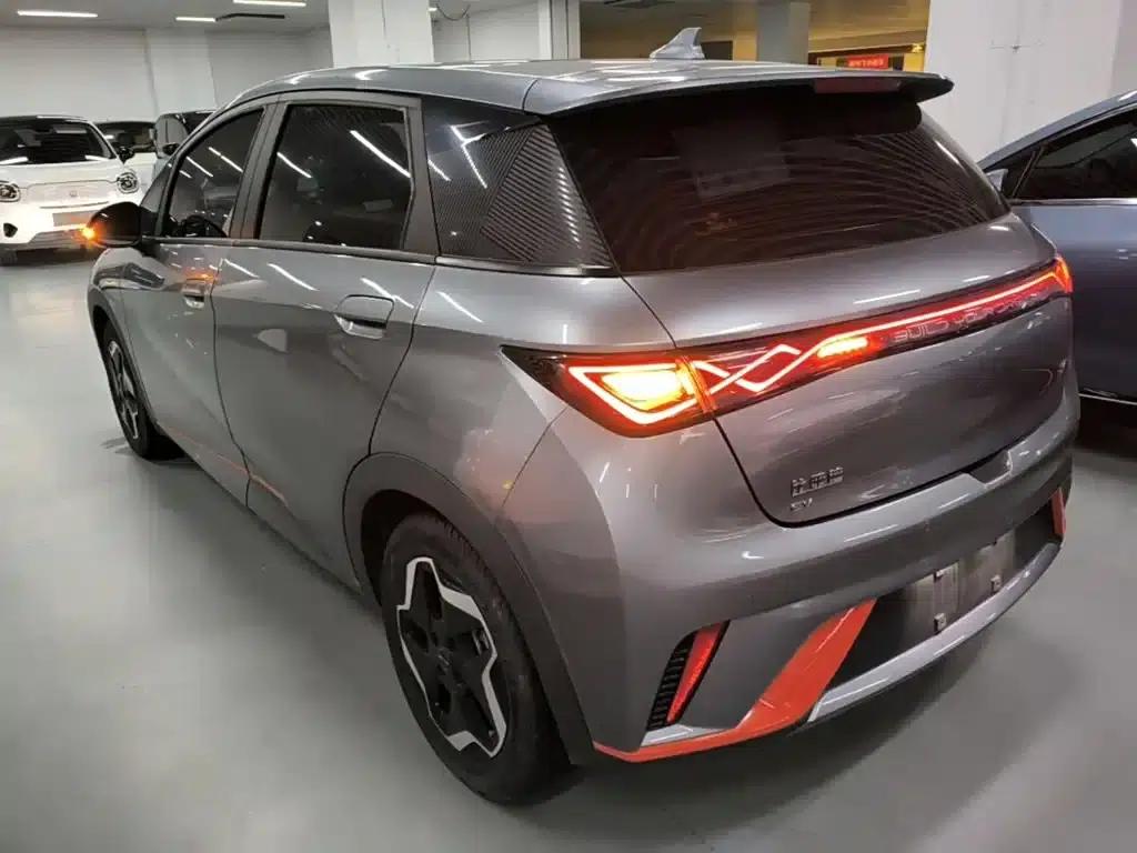 Dolphin 2021 405km Fashion Edition — миниатюра 5