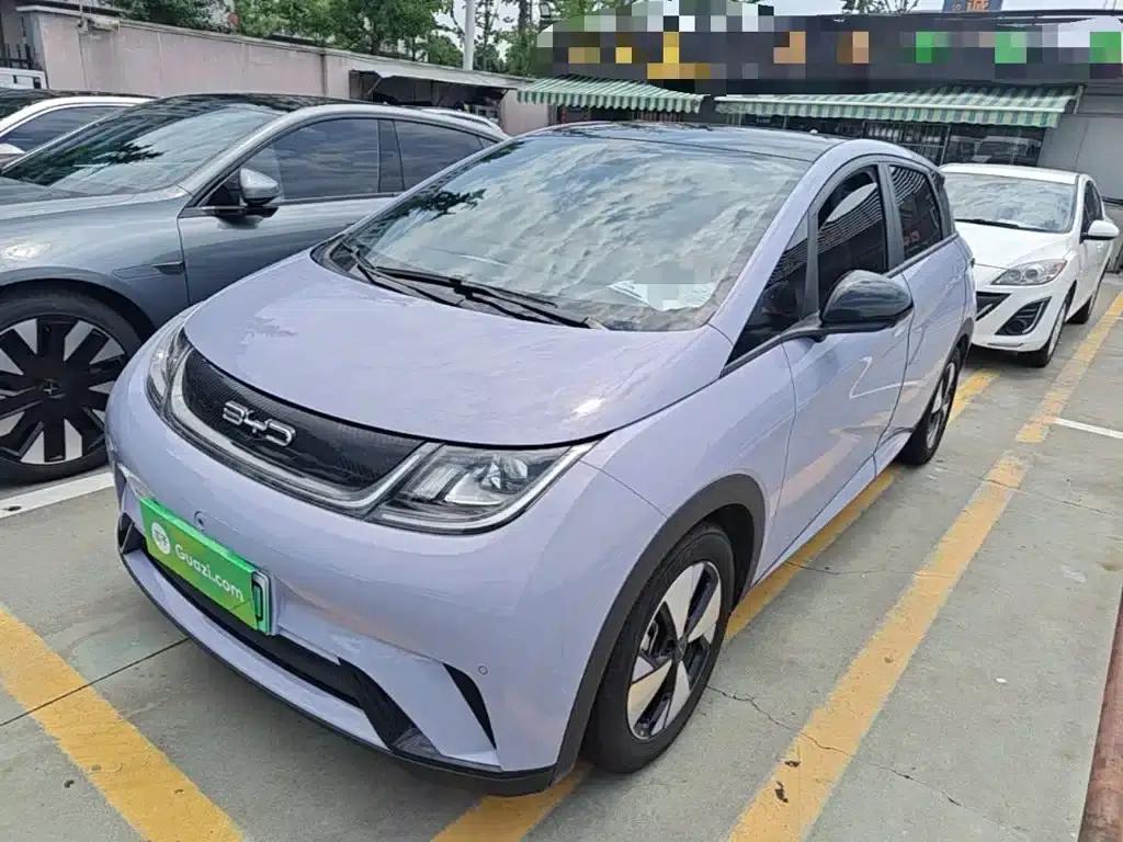 Dolphin 2023 420km Fashion Edition — миниатюра 1