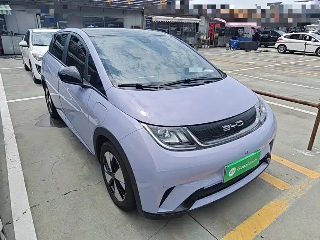 Dolphin 2023 420km Fashion Edition — миниатюра 4