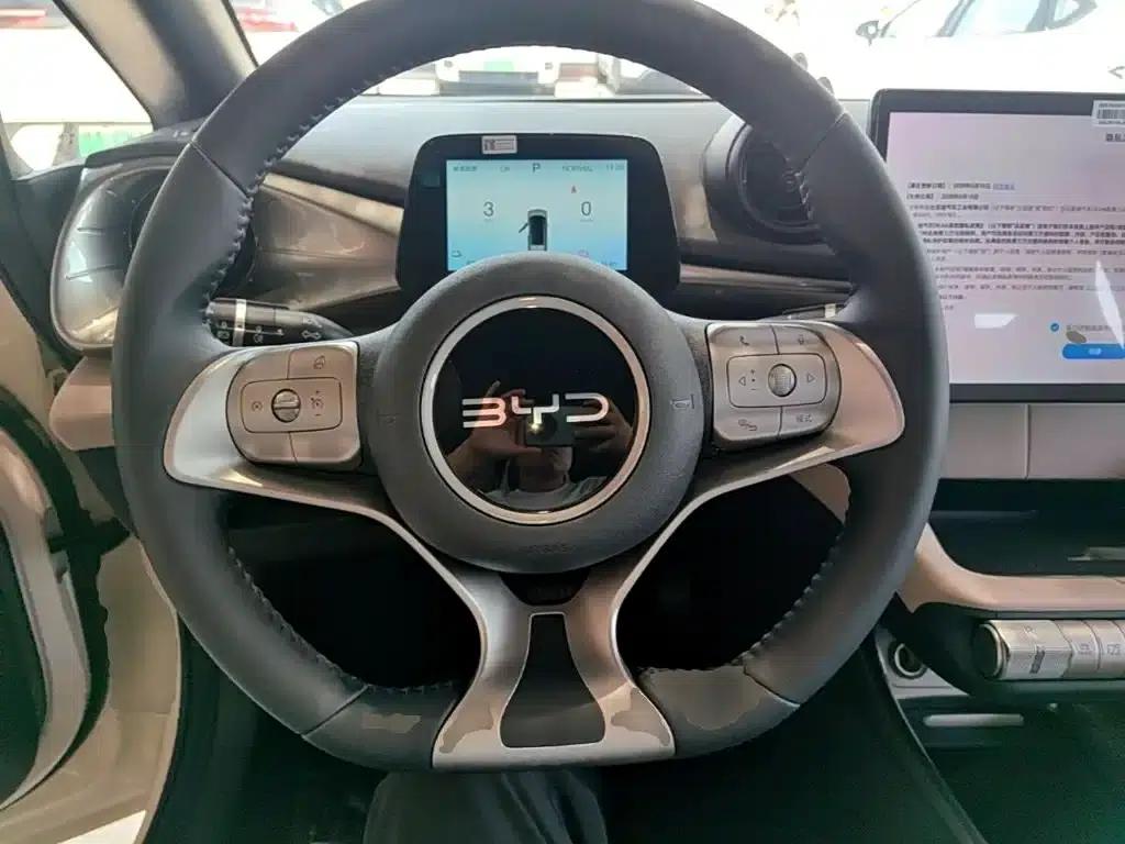 Dolphin 2025 420km Freedom Edition — миниатюра 11