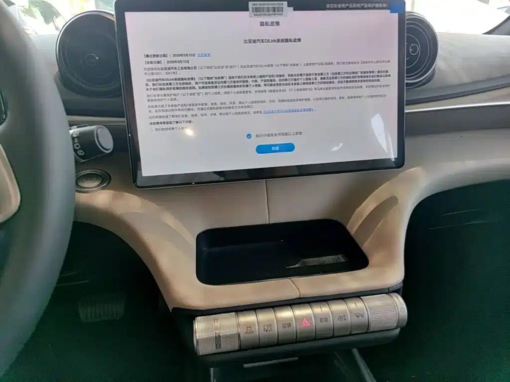 Dolphin 2025 420km Freedom Edition — миниатюра 13