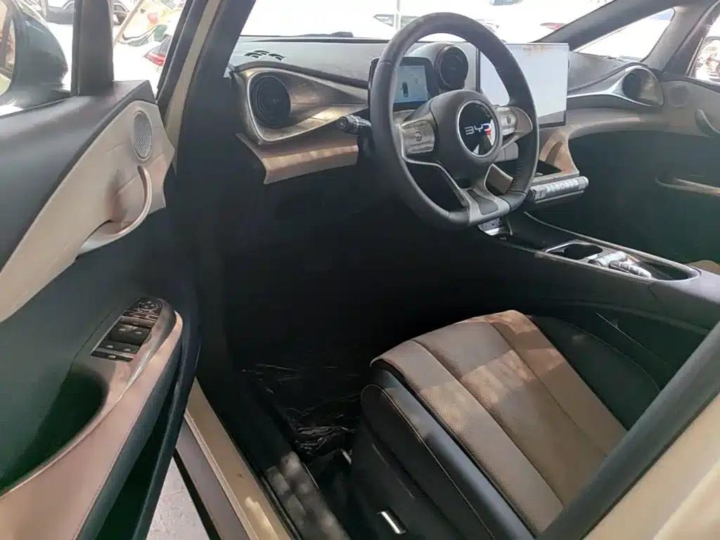 Dolphin 2025 420km Freedom Edition — миниатюра 16