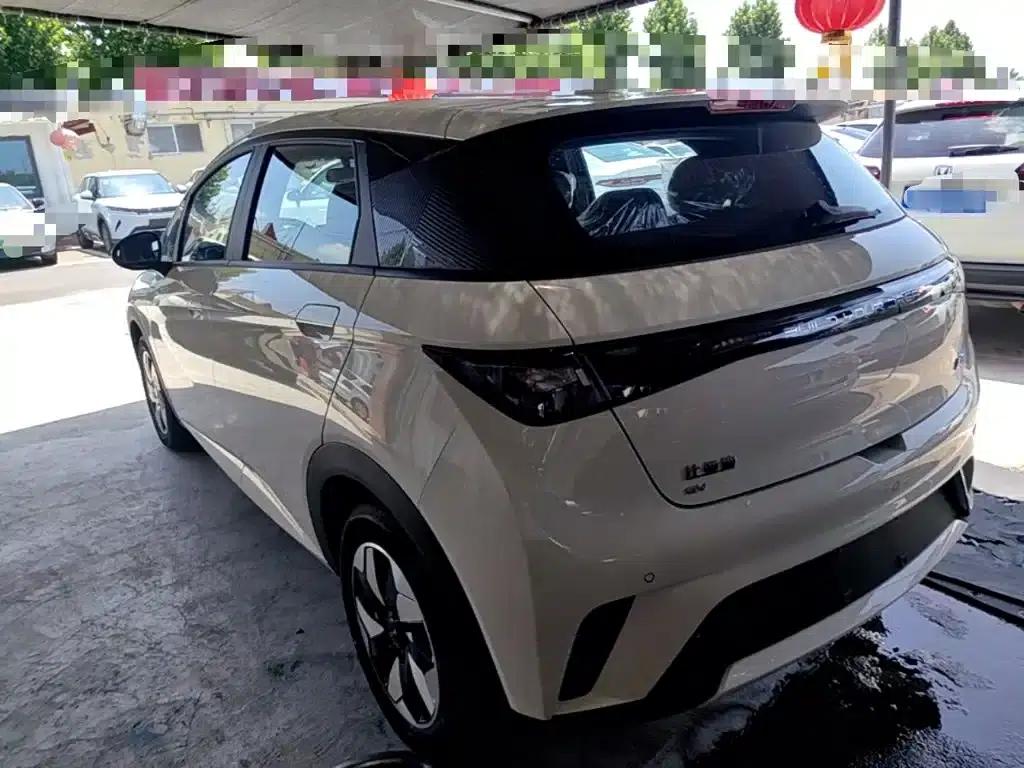 Dolphin 2025 420km Freedom Edition — миниатюра 5