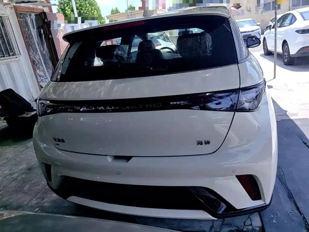 Dolphin 2025 420km Freedom Edition — миниатюра 6